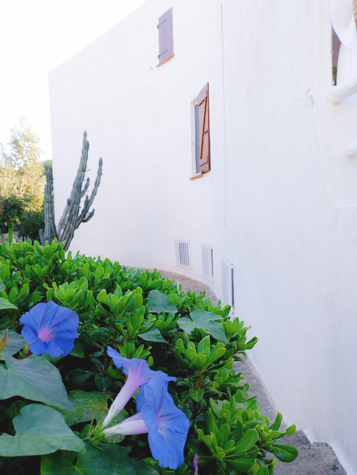 Villa Anna 300 M Dal Mare Торе деле Стеле Екстериор снимка